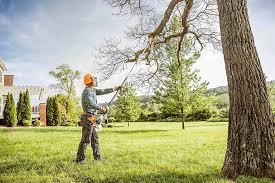Best Soil Testing and Treatment  in Merchantville, NJ
