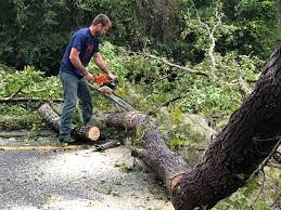 Best Lawn Grading and Leveling  in Merchantville, NJ