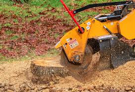 Best Hedge Trimming  in Merchantville, NJ