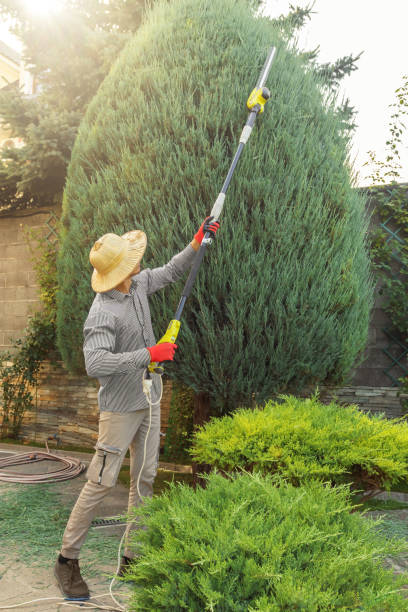 Best Hazardous Tree Removal  in Merchantville, NJ
